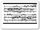 Carl Maria von Weber - Concertino, Op. 45 for Horn and Orchestra