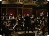 Johannes Brahms - Symphony No.1 - Wiener Philharmoniker - Bernstein - 1981
