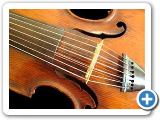 Hoffmeister Quartet in D major for Viola d'amore and strings