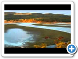 Amurski Valovi - Амурские волны