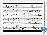 Beriot, Charles A. de mvt2+3 2th violin concerto