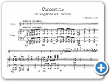 Rieding, Oskar Concertino op.21 in A minor in Hungarian style